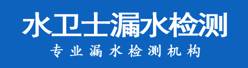 谢家集区暗管漏水检测