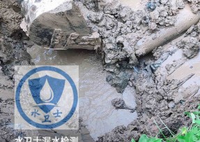 谢家集区水管漏水检测公司5